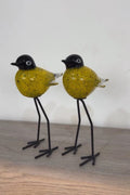 Glass Birds