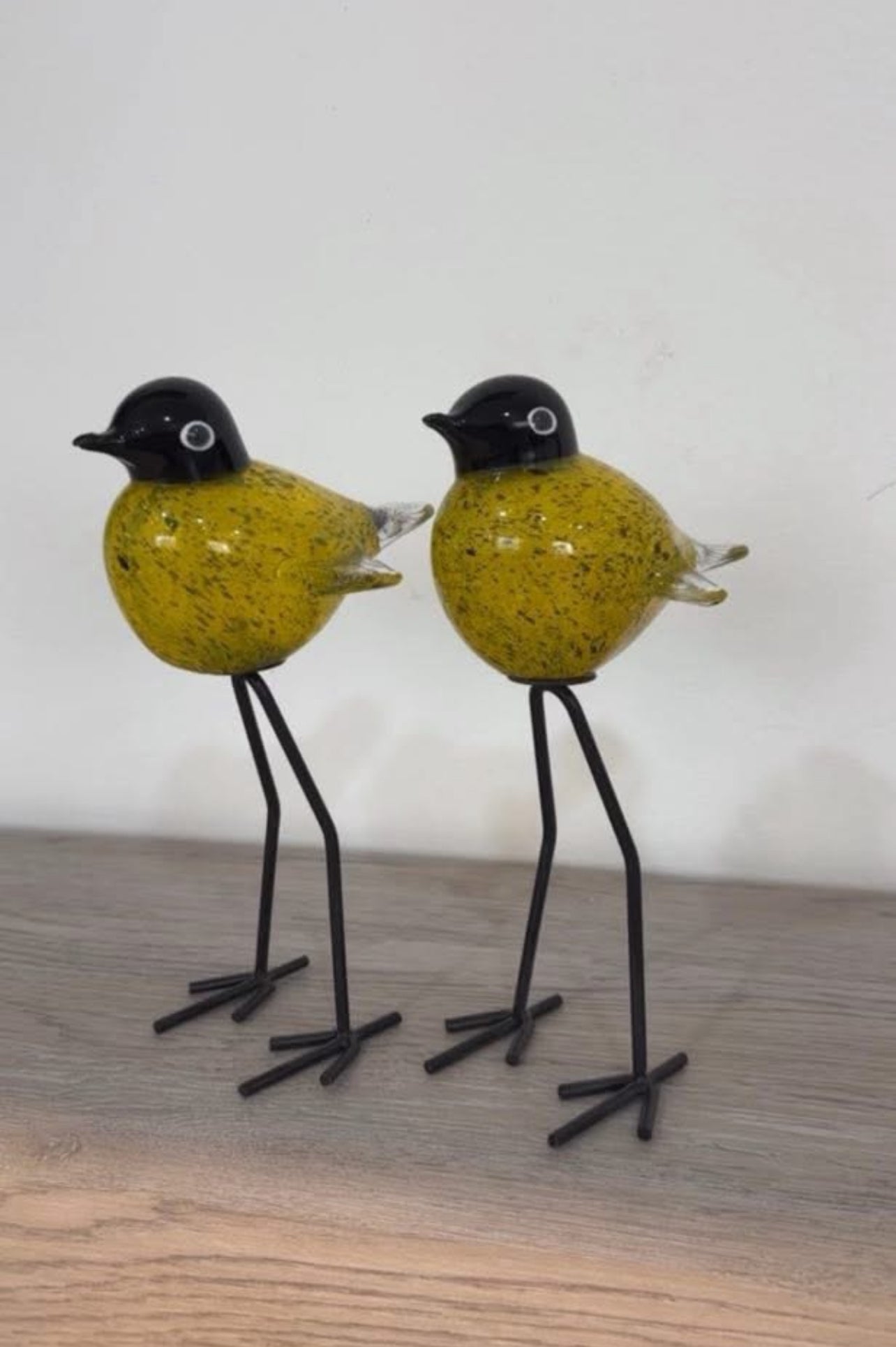Glass Birds